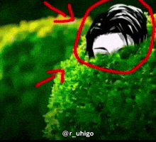 Jjk Jujutsu Kaisen GIF