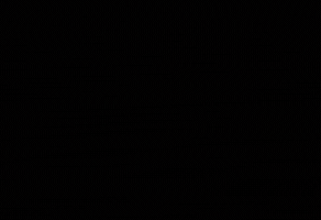 Notificaciones GIF