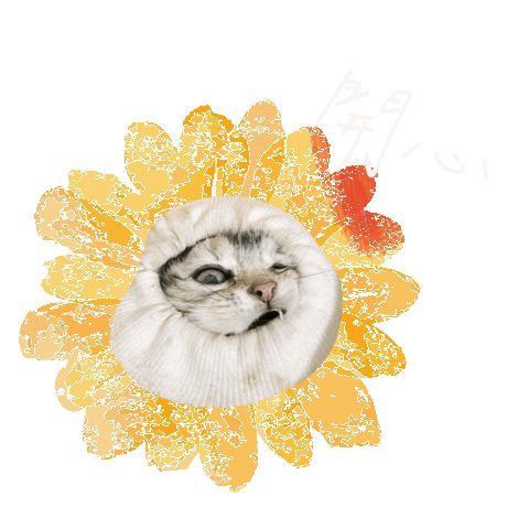 Cat 貓 Sticker