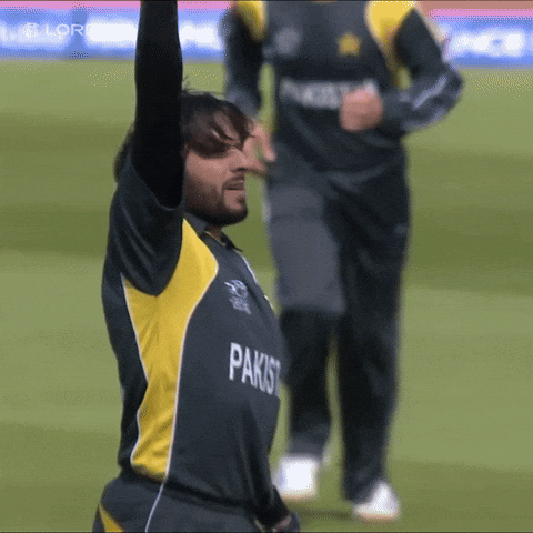 World Cup Boom GIF by Lord's Cricket Ground