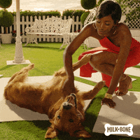 Good Boy Dog GIF by Milk-Bone