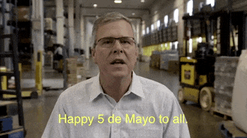 Cinco De Mayo Mexico GIF by Storyful