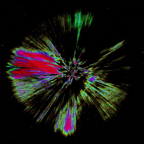 Motti® GIF