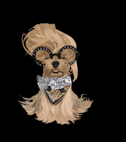 Yorkshire Terrier Fashion GIF by Honey Boo Designs