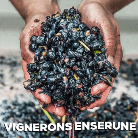 vpe34 GIF