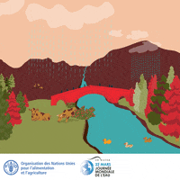 Food And Agriculture Organization World Water Day GIF by FAO