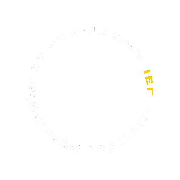 IEFstrasbourg Sticker