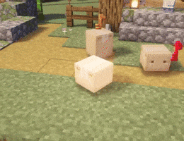 Box GIF