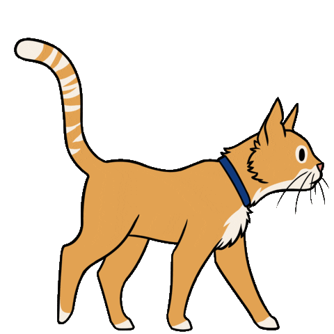 Animated Sticker