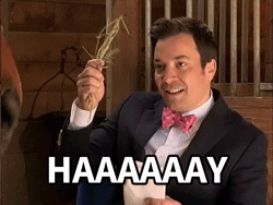 TV gif. Jimmy Fallon sits in a barn facing a horse. He holds up a clump of hay and says, “haaaaaay”, knowing his joke was bad as he said it. His cheeky smile evaporates and he tosses the straw over his shoulder. 