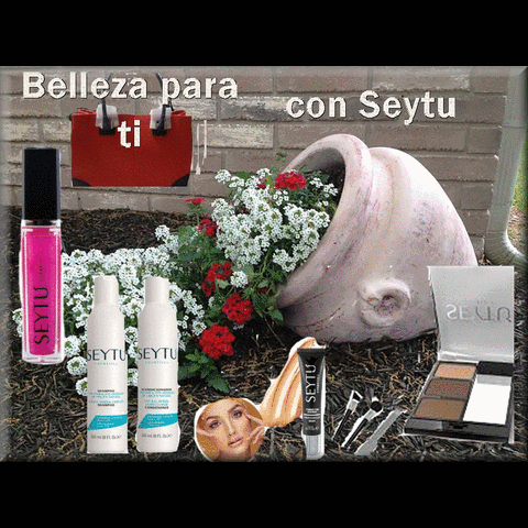 silviacaldelasdelacera  GIF