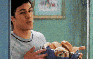 the oc adam brody seth cohen bagels