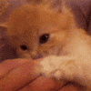 description d'icon