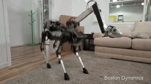 Animated GIF - Find & Share on GIPHY