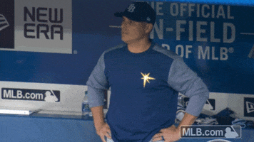 Disappointed Tampa Bay Rays GIF by MLB