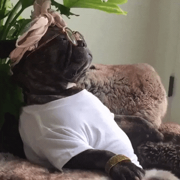 g7828202  GIF
