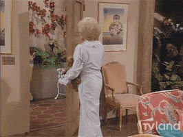 Golden Girls Lol GIF by TV Land Classic