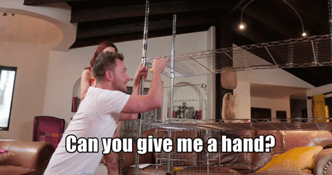 giphy.gif