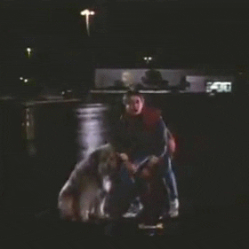 back to the future dog GIF