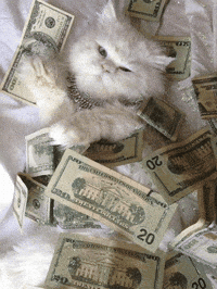 White Money Gifs Get The Best Gif On Giphy