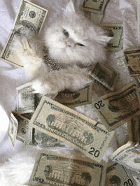White Money Gifs Get The Best Gif On Giphy White Money Gifs Get The Best Gif On Giphy