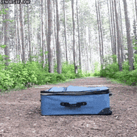 Featured image of post Packing My Bag Gif