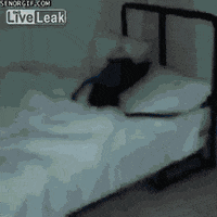 head bed GIF