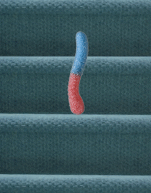 Candy Stairs GIF by Trolli