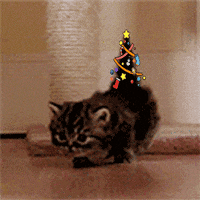 Christmas Kitten GIF