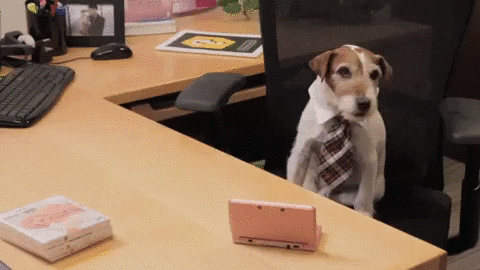 Dog Working GIF - Find & Share on GIPHY