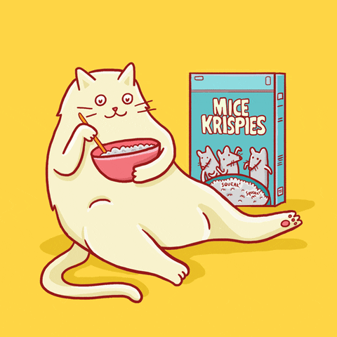 rice krispies cat GIF by Michelle Porucznik