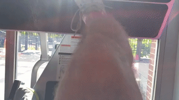 Charge  GIF