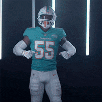 Miami Football Dancing GIF by Miami Dolphins