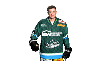 Bietigheim Steelers Sticker