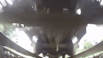 pablojairortega  GIF