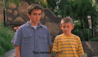 malcolm in the middle television GIF