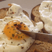 breakfast egg GIF