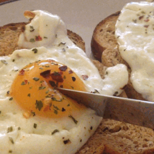 breakfast egg GIF