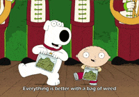 family guy weed GIF family guy weed GIF
