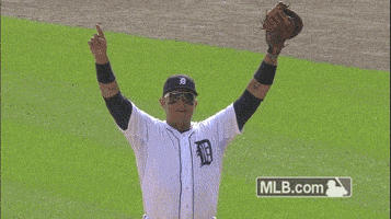 detroit tigers GIF by MLB
