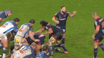 fc grenoble GIF by FCG Rugby