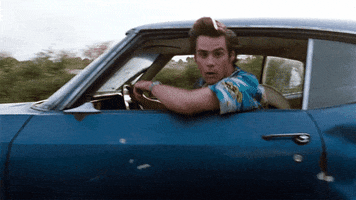 Driving Ace Ventura GIF