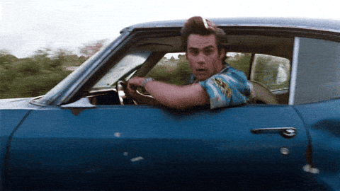 Driving Ace Ventura GIF
