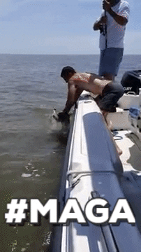 thomassfl  GIF