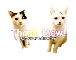 Cats Thank You Sticker