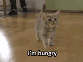 200.gif?cid=f0bdee70zntjige9go3cwfpqvfxp8hqau8wk5ssbps9vxj50&rid=200.gif&ct=g