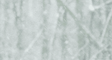 snow winter GIF by Head Like an Orange