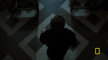 genius tv GIF by National Geographic Channel