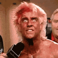 Giphy - ric flair GIF