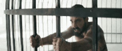 shia labeouf clip GIF by SIA – Official GIPHY 